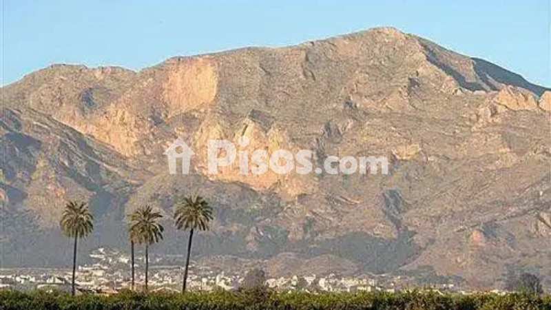 Terreno en venta en Crevillent