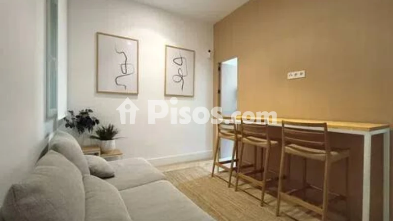 Piso en alquiler en Embajadores-Lavapiés