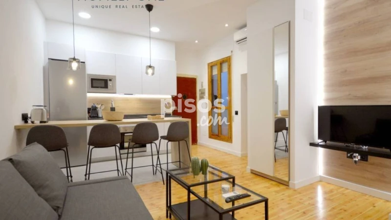 Piso en alquiler en Embajadores-Lavapiés