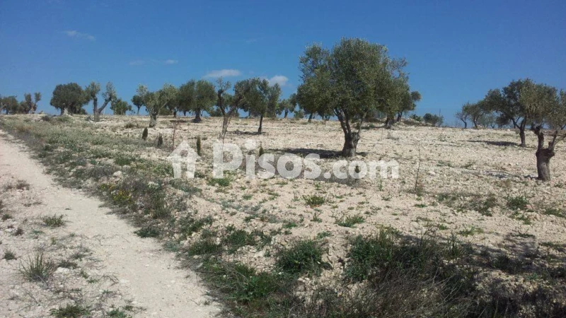 Terreno en venta en Sax