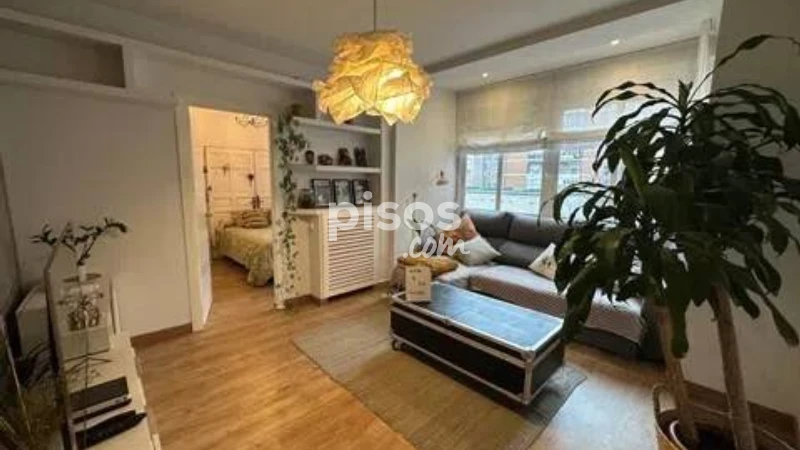 Piso en alquiler en Río Rosas