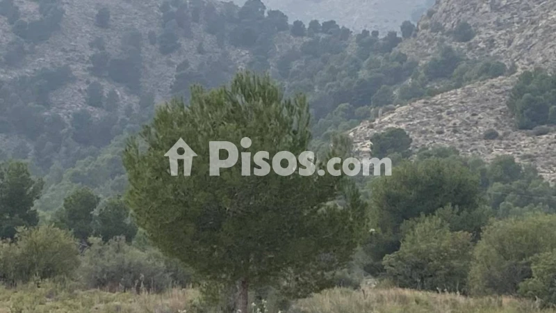 Casa – Orihuela, Raiguero de Levante, La Aparecida