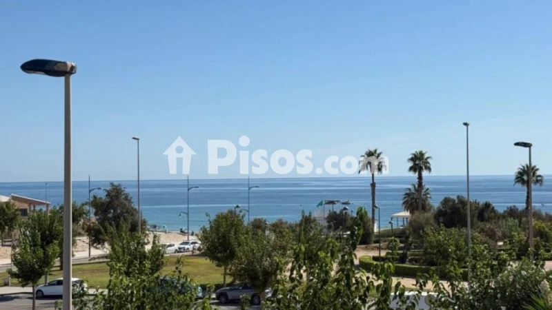 Pis – Pilar de la Horadada, Barrio Los Segundas