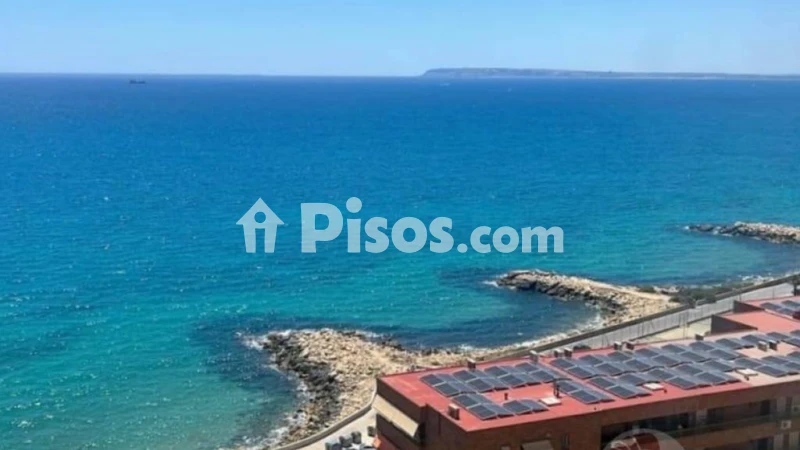 Piso – Alacant / Alicante, l'Albufereta, l'Alacantí