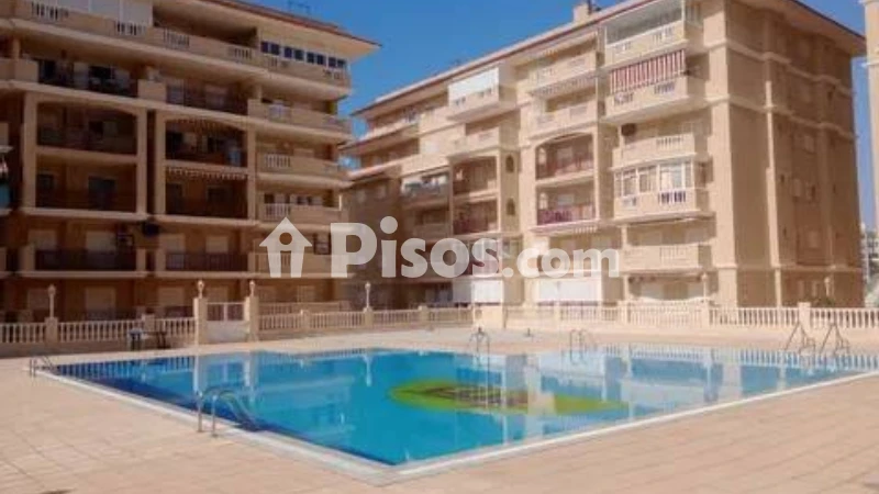 Pis – Torrevieja