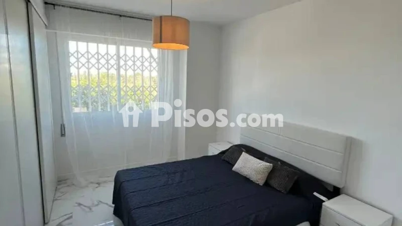 Pis – Torrevieja