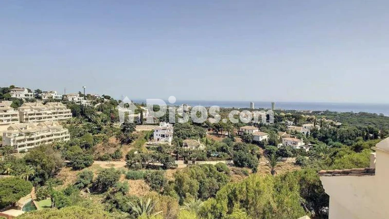 Fotografía del inmueble reportado: 2.400 €/mes — Málaga, Málaga
