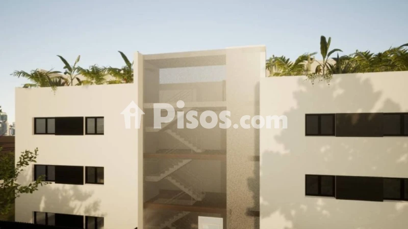 Piso