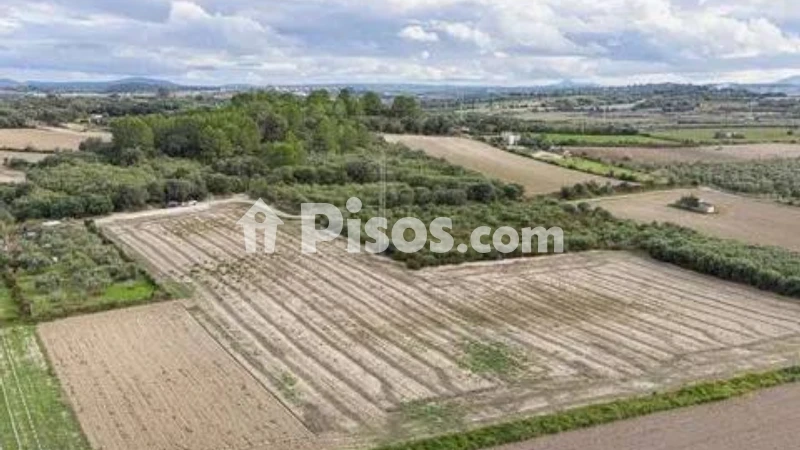 Terreno en venta en Muro de Alcoy