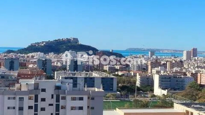 Pis – Alicante - Alacant