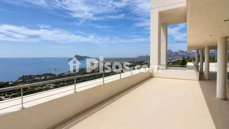 Pis – Altea