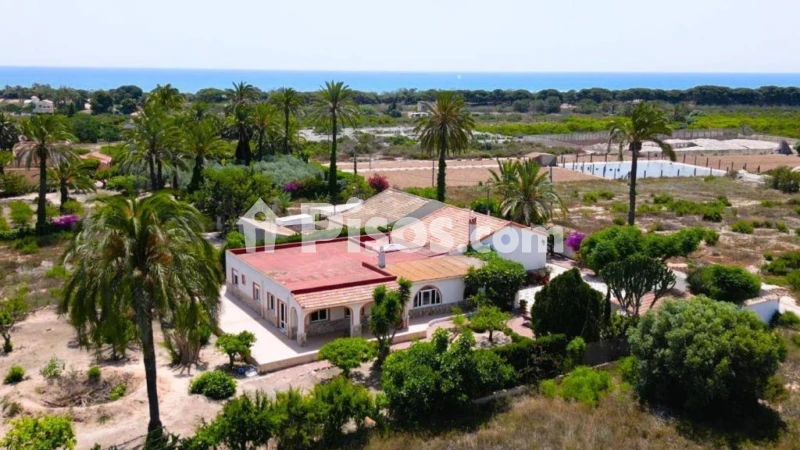 Pis – Elx / Elche, Regs del Porvenir, la Marina