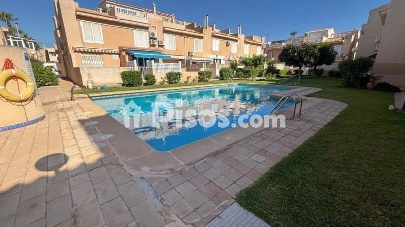 Pis – Torrevieja