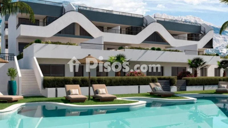 Pis