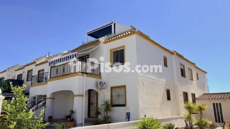 Piso – Orihuela