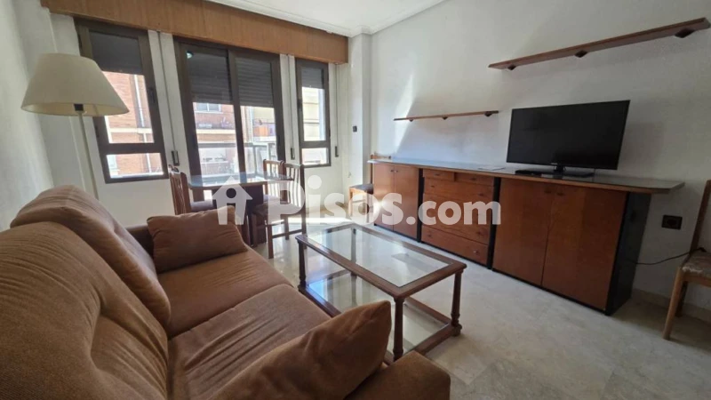 Piso en alquiler en Hospital-Parque Sur