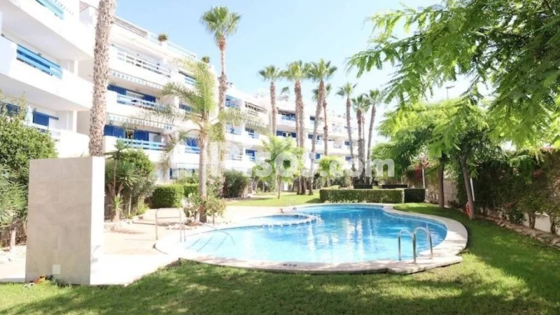 Pis – Orihuela