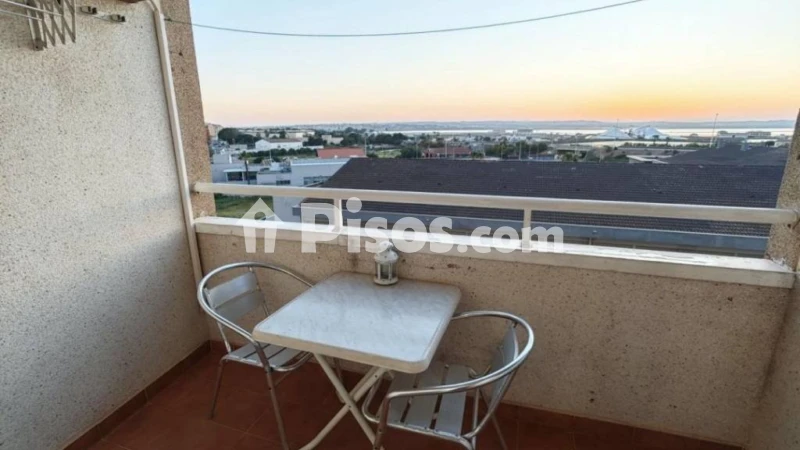 Pis – Torrevieja