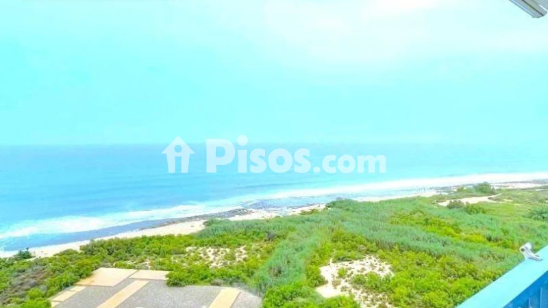 Pis – El Campello