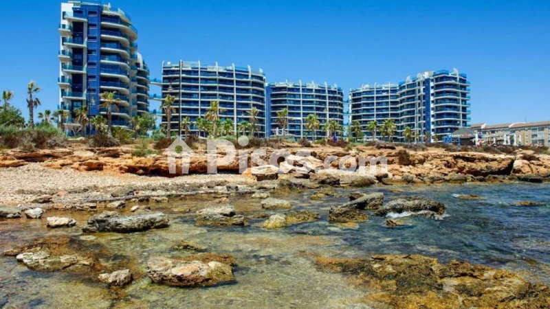 Pis – Torrevieja