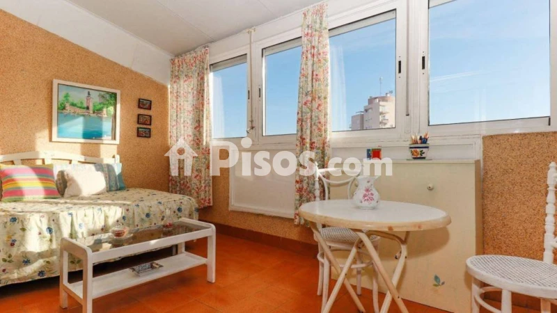 Pis – Torrevieja