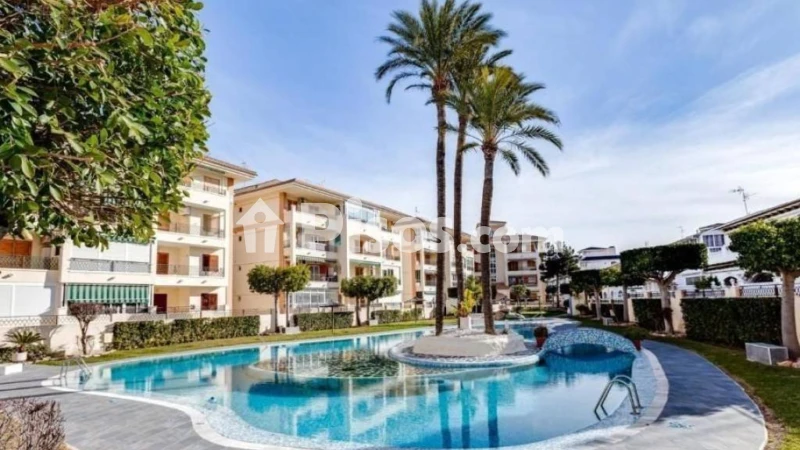 Pis – Torrevieja