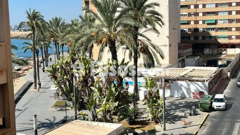 Pis – Torrevieja