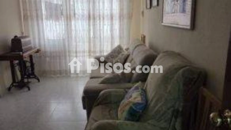 Pis – Torrevieja