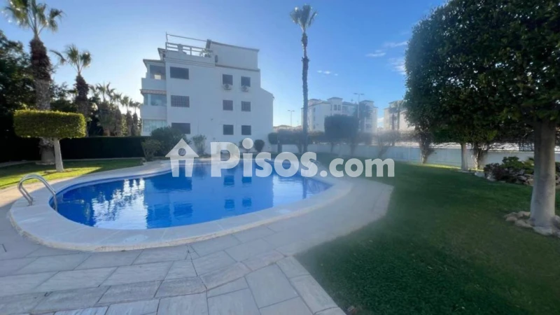 Piso – Orihuela