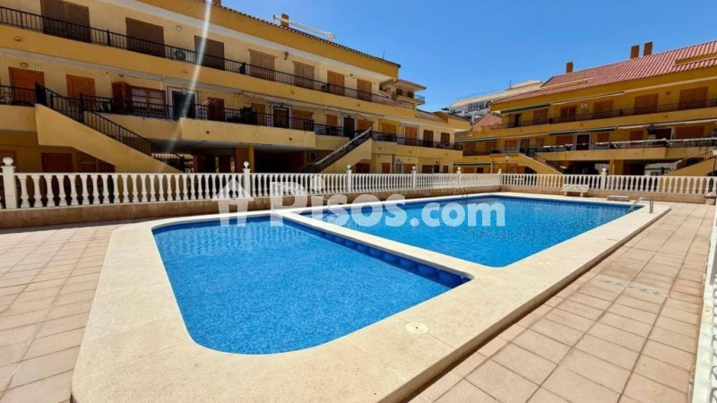Pis – Torrevieja