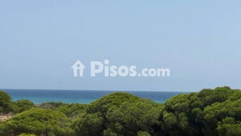Pis – Guardamar del Segura