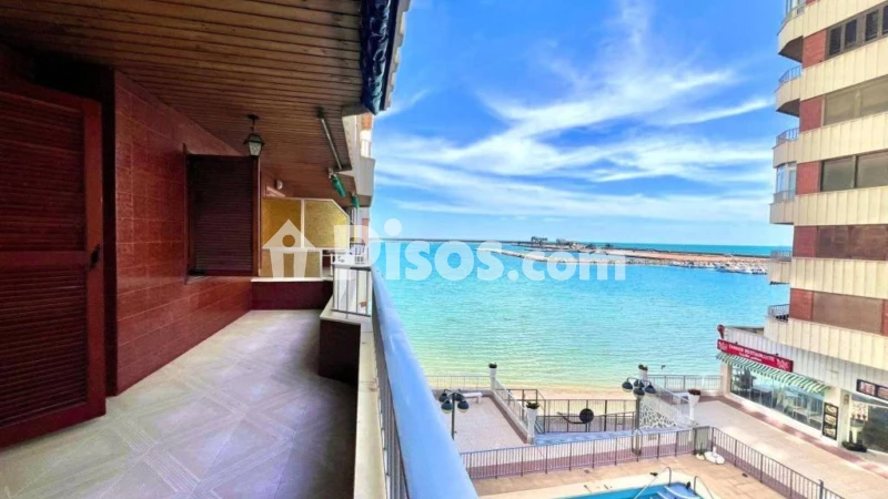 Pis – Torrevieja