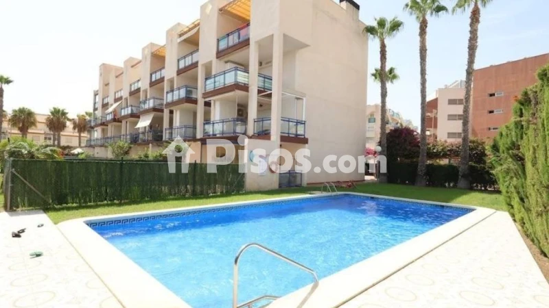 Pis – Orihuela