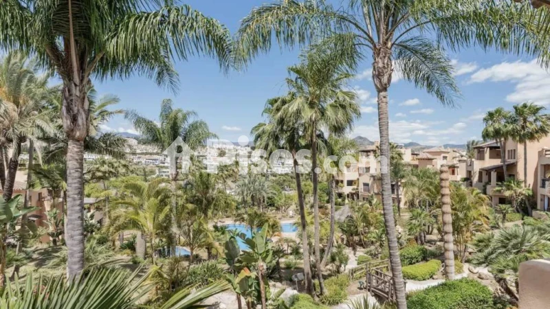 Fotografía del inmueble reportado: 2.400 €/mes — Málaga, Málaga