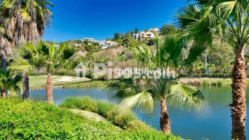 Fotografía del inmueble reportado: 2.300 €/mes — Málaga, Málaga