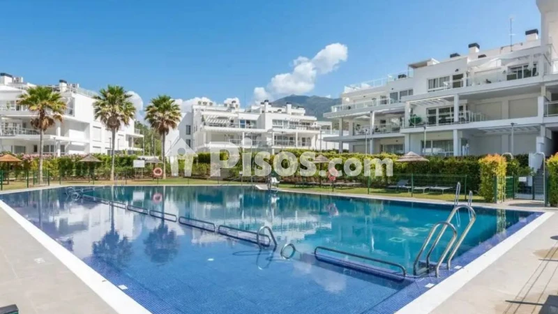 Fotografía del inmueble reportado: 2.650 €/mes — Málaga, Málaga