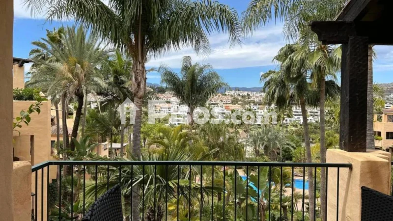Fotografía del inmueble reportado: 2.500 €/mes — Málaga, Málaga