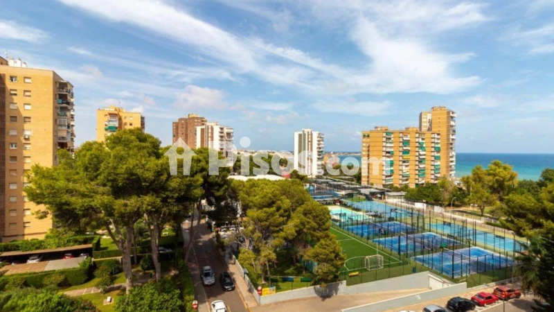 Piso – Orihuela