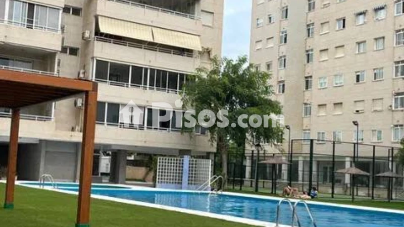 Pis – Alicante - Alacant