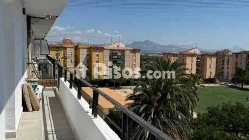 Pis – Alicante - Alacant