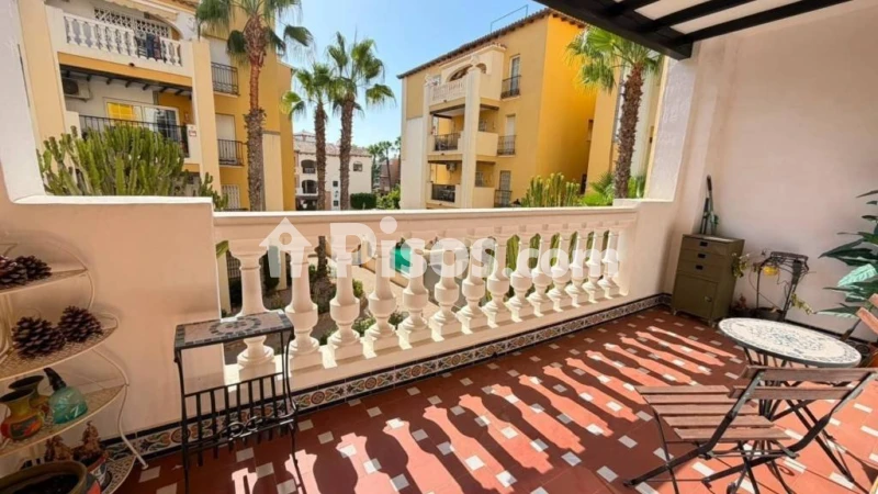 Pis – Torrevieja