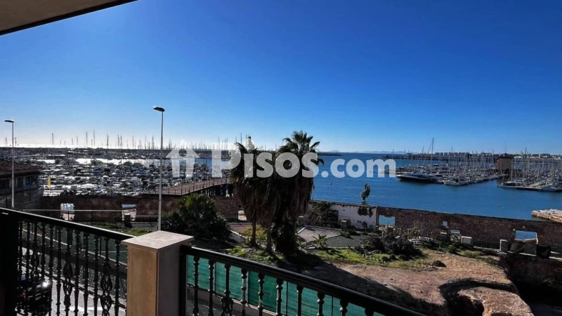 Pis – Torrevieja