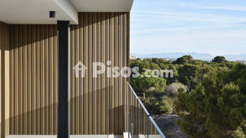 Piso