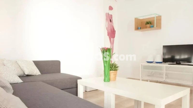 Piso – Santa Pola, el Baix Vinalopó