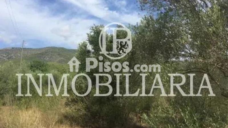 Fotografía del inmueble reportado: 400 €/mes — Castellón, Castellón