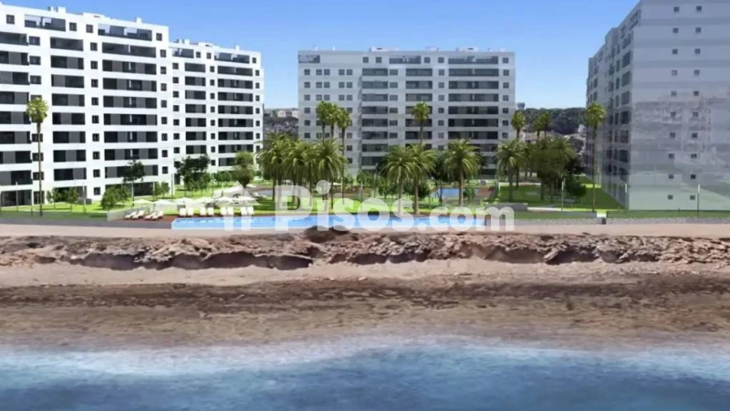 Pis – Torrevieja