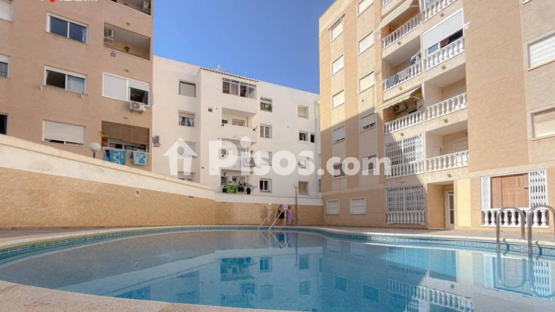 Pis – Torrevieja