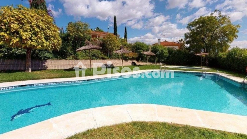 Fotografía del inmueble reportado: 580 €/mes — Córdoba, Córdoba