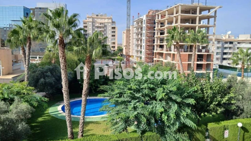 Piso – Guardamar del Segura