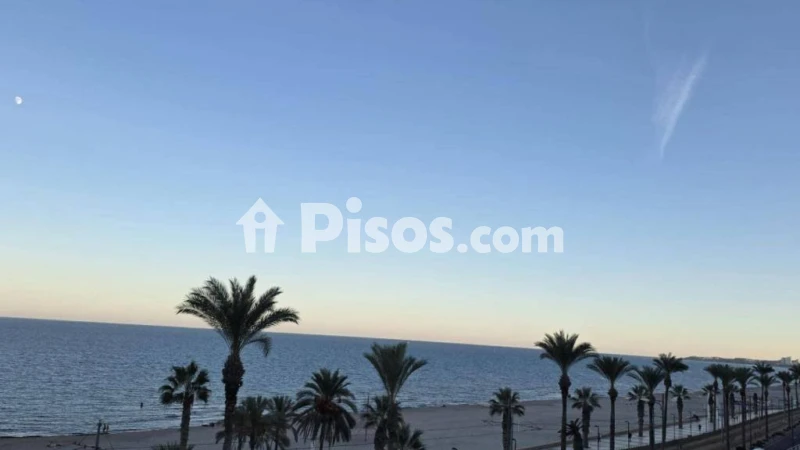 Pis – El Campello